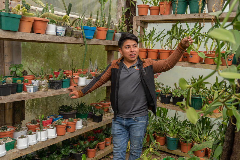 Ecologically responsible coffee. 