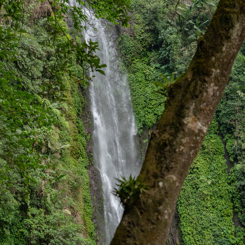 A model farm, nature reserve, and education centre under the gaze of a stunning waterfall