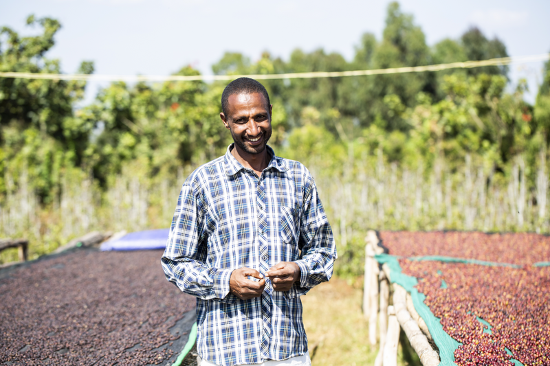 At Echemo Farm, Khalid Shifa has refined a model of organic coffee farming that exists in harmony with a complex native forest environment.